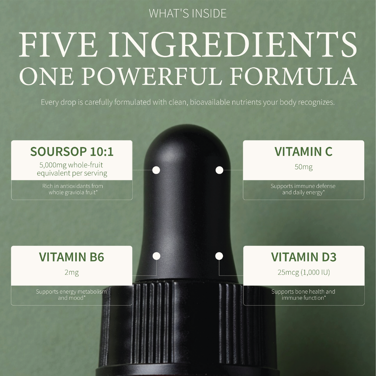 WellReset / Soursop Reset / Daily Multivitamin Drops